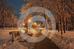 Winter tale in city park with snow covered trees, wooden benches and row of lamps along alley at the night