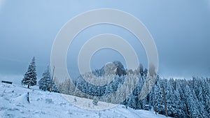 Winter Tapestry: Wide-Angle Landscape of Pietrele Doamnei Rocks, Pine Forest, and Snow Fields