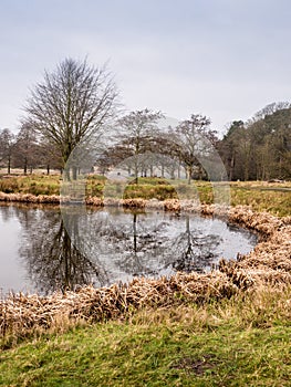 Winter at Tatton Park