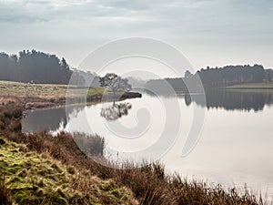 Winter at Tatton Park
