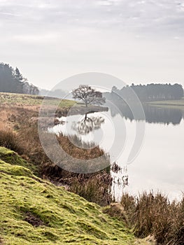 Winter at Tatton Park