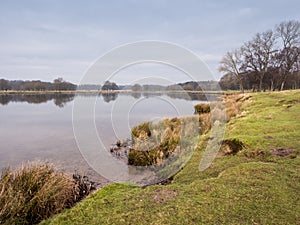 Winter at Tatton Park