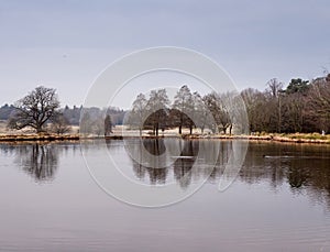 Winter at Tatton Park