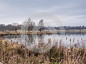 Winter at Tatton Park