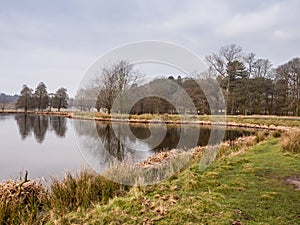 Winter at Tatton Park