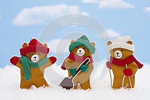 Winter Teddy Bears