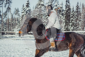 Winter jump horse ride jumping photo