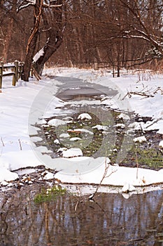 Winter Thaw Vertical Virginia Landscape