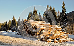 Winter timber logs before transport to lumber mill