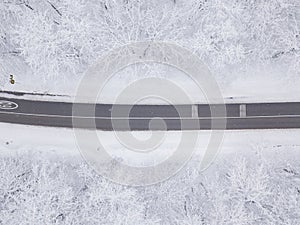 Winter time aerial top down view of a snowy road surrounded pine tree forest