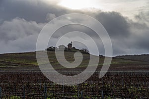 Winter time on Champagne grand cru vineyard near Verzenay and Mailly, rows of old grape vines without leave, wine making in France