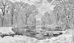 Winter time in the forest with frozen lake in Romania , Stirbei park