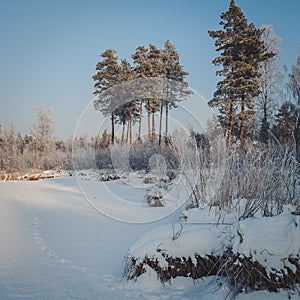 Winter time in forest lake. Evergreen wood and shore in snow.