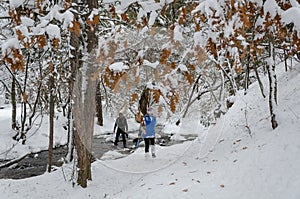 Winter time. The hikers are hikking in winter forest