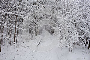 Winter time. Snow on the asphalt road. The road is frozen. The weather is very cold with a lot of snow. road in winter forest