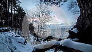 Winter timelapse on the edge of the forest near the river. Calm quiet winter day.