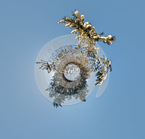 winter tiny planet in snow covered forest in blue sky. transformation of spherical panorama 360 degrees. Spherical abstract aerial