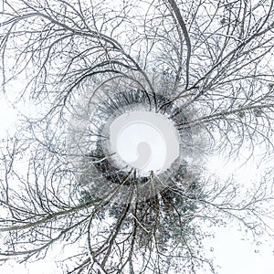 Winter tiny planet in snow covered forest. transformation of spherical panorama 360 degrees. Spherical abstract aerial view in