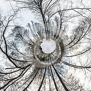 Winter tiny planet in snow covered forest. transformation of spherical panorama 360 degrees. Spherical abstract aerial view in