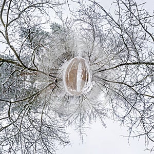 Winter tiny planet in snow covered forest. transformation of spherical panorama 360 degrees. Spherical abstract aerial view in