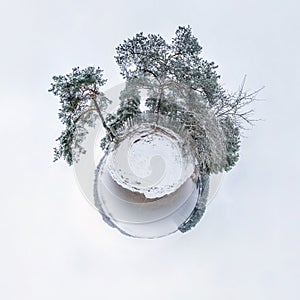 Winter tiny planet in snow covered pinery forest near lake with transformation of spherical panorama 360 degrees in abstract