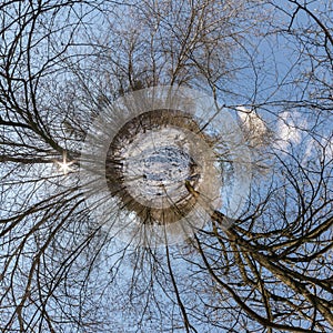 Winter tiny planet in snow covered pinery forest. transformation of spherical panorama 360 degrees. Spherical abstract aerial view