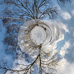 Winter tiny planet transformation of spherical panorama 360 degrees. Spherical abstract aerial view in forest with clumsy branches