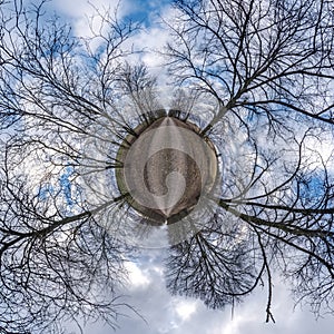 Winter tiny planet transformation of spherical panorama 360 degrees. Spherical abstract aerial view in forest with clumsy branches