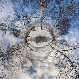 Winter tiny planet transformation of spherical panorama 360 degrees. Spherical abstract aerial view in forest with clumsy branches