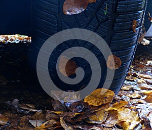 Winter tires for autumn and winter