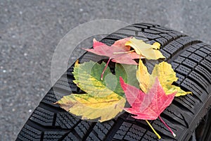 Winter tires with colorful autumn leaves