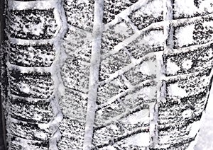 Winter tires with snow with spikes close-up