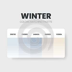 Winter tone colour schemes ideas.Color palettes are trends combinations and palette guides this year, a table color shades in RGB