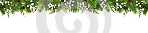Winter top border with evergreen branches, white berries and pine cones isolated on white photo