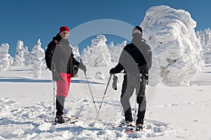 Winter Tourists