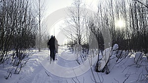 Winter track for skiers . Creative . People walking on skis in the winter snow-covered forest next to bare trees and