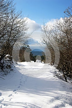 Winter trail