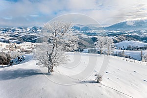 Winter in Transylvania, Romania traditional landscape from the peasant village Sirnea near Bran Castle and Sinaia