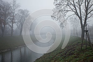 Winter tree and bridge in fog