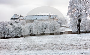 Winter tree with castle Cerveny Kamen, Slovakia