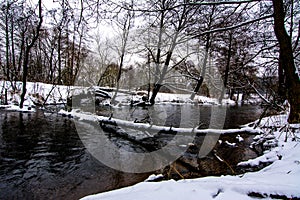 Winter tree fallen across the river