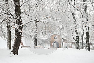 Winter Tree Park