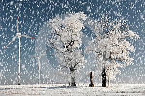 Winter tree with wind turbine