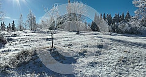 Winter trees alpine landscape early morning sunrise holiday travel and tourism frosty tree tops vibrant colors aerial 4k