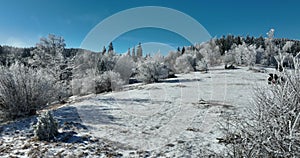 Winter trees alpine landscape early morning sunrise holiday travel and tourism frosty tree tops vibrant colors aerial 4k