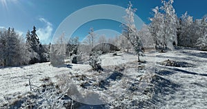 Winter trees alpine landscape early morning sunrise holiday travel and tourism frosty tree tops vibrant colors aerial 4k