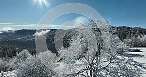 Winter trees alpine landscape early morning sunrise holiday travel and tourism frosty tree tops vibrant colors aerial 4k