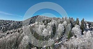Winter trees alpine landscape early morning sunrise holiday travel and tourism frosty tree tops vibrant colors aerial 4k