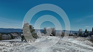 Winter trees alpine landscape early morning sunrise holiday travel and tourism frosty tree tops vibrant colors aerial 4k