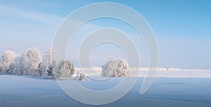 Winter Trees, Branches are covered with thick white frost. Blue sky over fog. Fluffy forest In the distance behind a white field